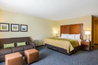 Comfort Inn Woodstock Shenandoah Các khách sạn gần Woodstock Museum