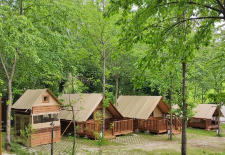 Saecula Natural Village Experience Отели в г. Монте-Видон-Комбатте
