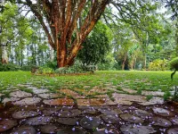 Zereniti House Hotels in Ndenderu