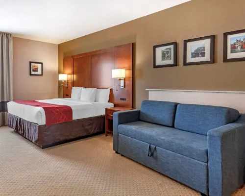 コンフォート スイーツ フローレンス ショールズ エリア フローレンスのホテル