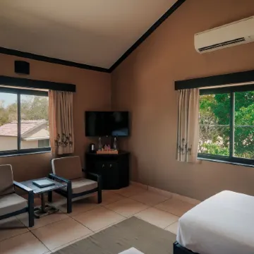 Clarks Safari Pushkar