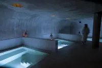 Hábitat Cigüeña Negra - spa