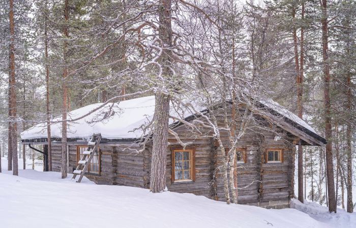 Kuukkeli Log Houses Aurora- Secret Cabin