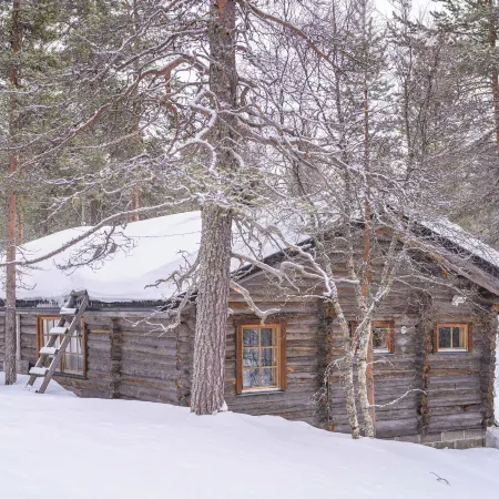 Kuukkeli Log Houses Aurora- Secret Cabin
