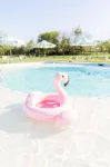 The Frenchie - Pools