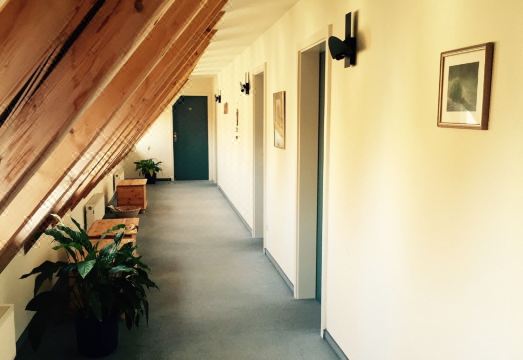 4. 다인 구츠호프 ..