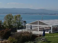 Rosevears Riverview Hotel Hotels in Lanena