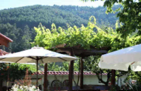 伊利科瓦旅館 酒店