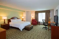 Hilton Garden Inn Hartford South/Glastonbury Hotels in Wethersfield