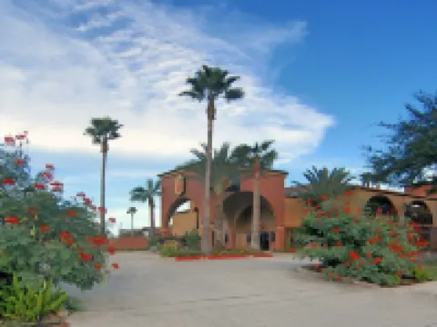 休斯頓-美國國家航空航天局-韋伯斯特地區速8酒店 韋伯斯特酒店