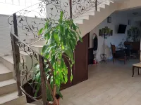 Vila Fortuna Auri