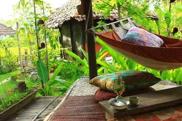 รูปภาพของคุณนายตื่นสาย