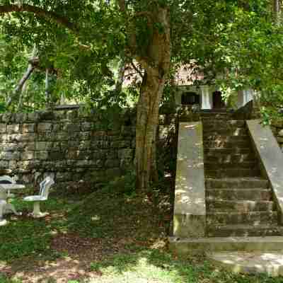 Jungle House Hotel Exterior
