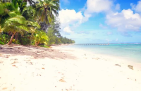 Coral Sands Apartments