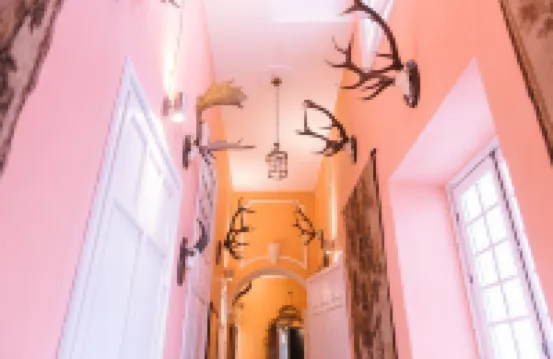 Palacio del Virrey Laserna