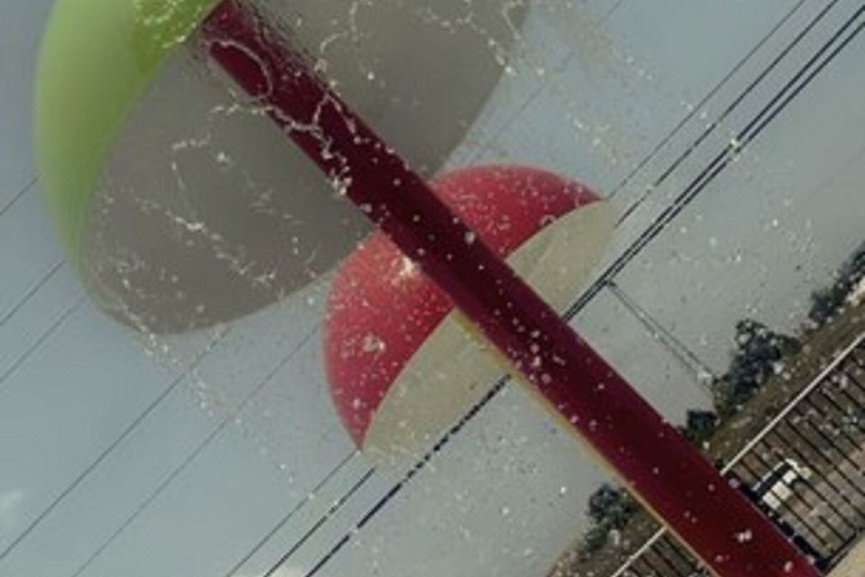 Photo 4 of 6