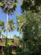 Maison Houng Chanh - Luang Prabang