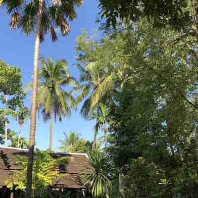Maison Houng Chanh - Luang Prabang Hotel Exterior