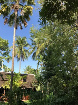 Maison Houng Chanh - Luang Prabang