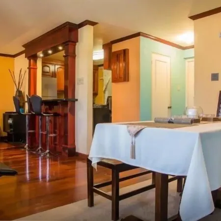 New Kingston Guest Apt at Dorchester