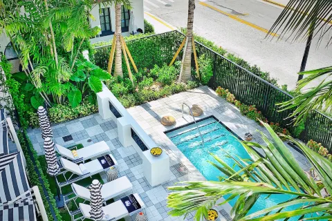 화이트 엘리펀트 팜 비치