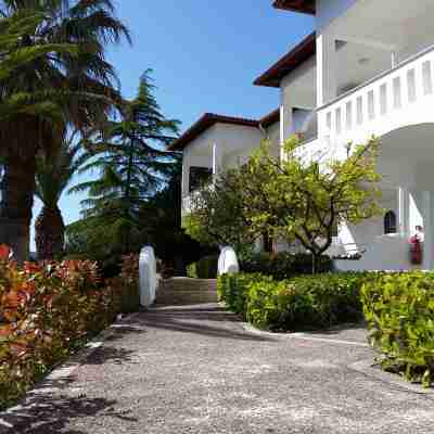 Alexandros Palace Hotel Exterior
