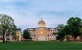 The Beehive New 4 Bedroom Listing Next to CNU