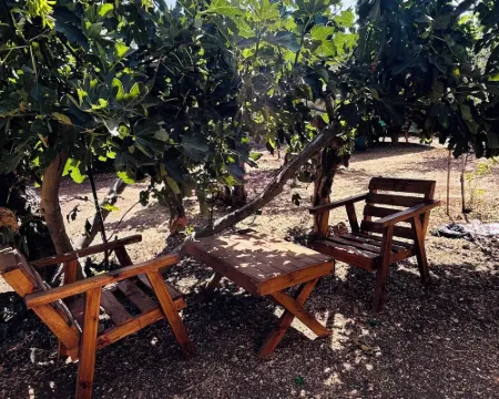 โอลีฟทรีโฮสเทล โรงแรมในเยรูซาเลม