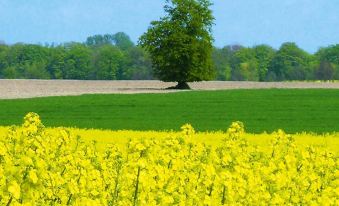 Ferienwohnung, Schwerin