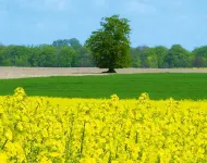 Ferienwohnung, Schwerin