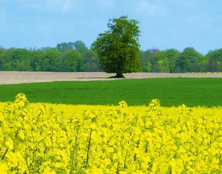 Ferienwohnung, Schwerin