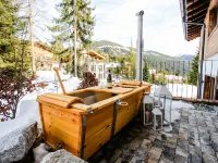 Chalet in Königsleiten Near Ski Lift Zillertal