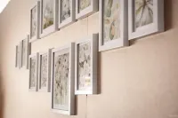 Alojamiento en Centro Histórico Cusco