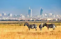 Oltotoi Suites فنادق في Olooloitikosh
