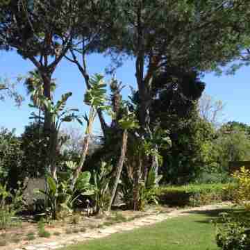 3Br Apt-Quinta do Lago-Private Terrace Rooms