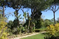 3Br Apt-Quinta do Lago-Private Terrace