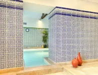 Hôtel & Spa du Domaine des Thômeaux the Originals Relais - Pool