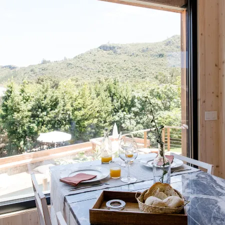 The Nest by Cooking and Nature