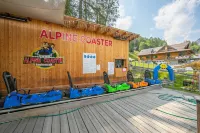 Il Nido di Elda Few Steps from Skiing - Happy Rentals - acceptant les animaux