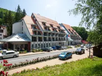 HOTEL CRYSTAL Hotels in Sovata