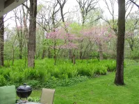 RELAXING GETAWAY DESTINATION Hotels in Lee County