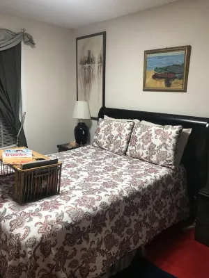 Stone Mountain Star- Ck Discounts. 20 Minutes; Decatur Emory School & Hospital