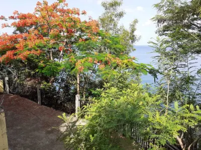 Charming F2 20 meters from the seafront for 3 people or 2 adults and 2 children. Hotels near Office Municipal de Tourisme de Bouillante