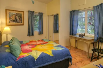 Fall in Love at Villa Amour , Caribbean Dream, Art Lovers Paradise. ,  Private