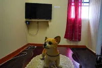 Sea Breeze Apartment in Sauteurs with everything close by Hotels in Sauteurs