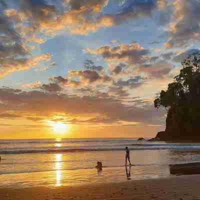 Gorgeous Views of Pacific and Rainforest Fitness & Recreational Facilities