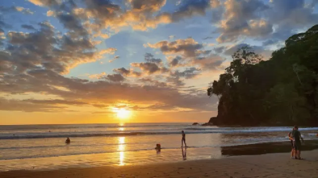 Gorgeous Views of Pacific and Rainforest Hotels in 