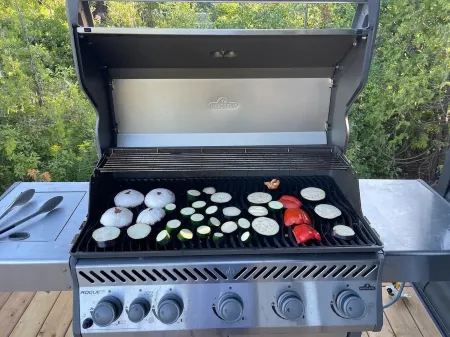 Spacious modern cottage with incredible views in the Bruce Peninsula