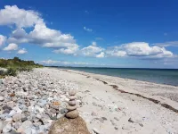 Ferienhof SONDERBYGAARD: cozy dormer apartment for couple or small group. Family