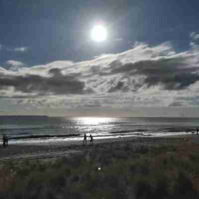 BACH on BEACH- Pipi Palace. Others
